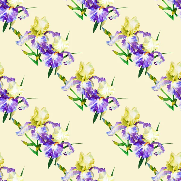 Seamless pattern with colored irises — Stock Photo, Image