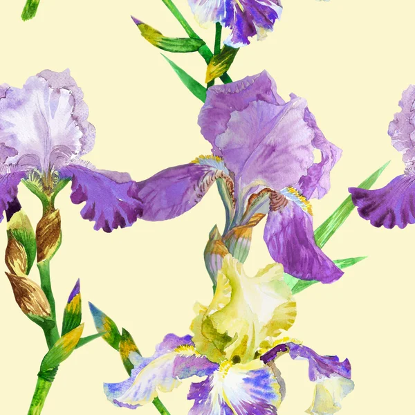 Seamless pattern with colored irises — Stock Photo, Image