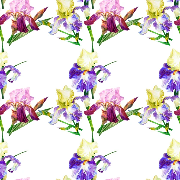 Renkli iris ile Seamless Modeli