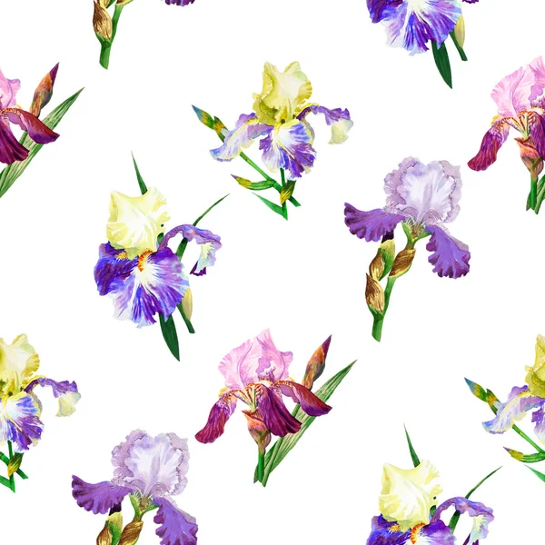 Seamless pattern with colored irises — Stock Photo, Image