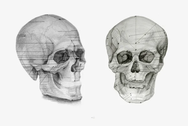 Drawing skulls and bones — Stock Photo, Image