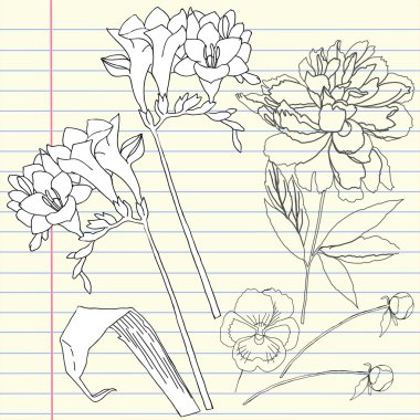 Notebook set with peony and freesia clipart