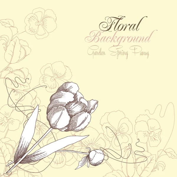 Fundo floral com um tulipe e pálidas — Vetor de Stock