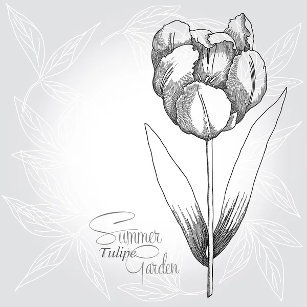 Grauer Hintergrund mit Tulpe — Stockvektor