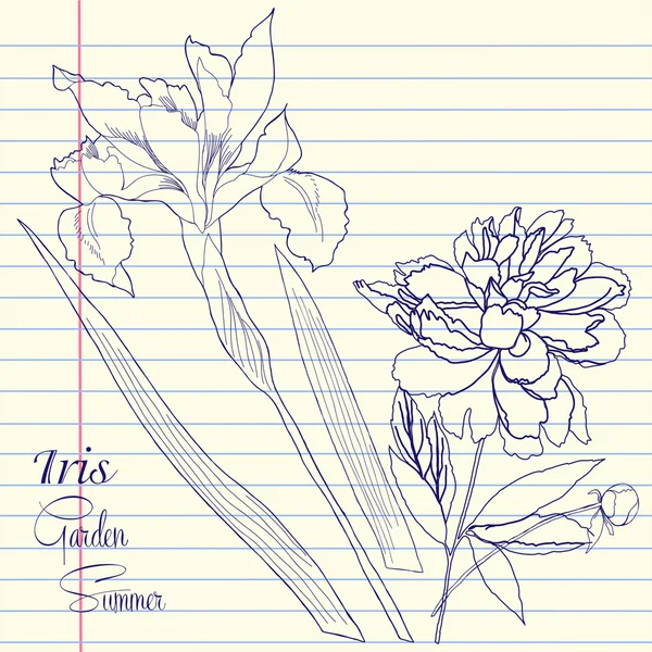 Carnet de notes avec pivoine et un iris — Image vectorielle