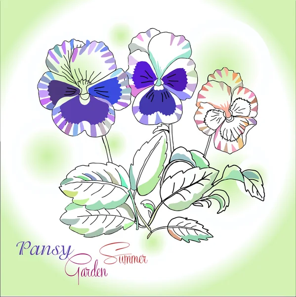 Pansy on green background — Stock Vector