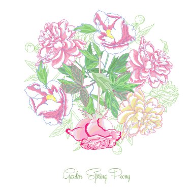 Arka plan ile peonies ve pembe Gül
