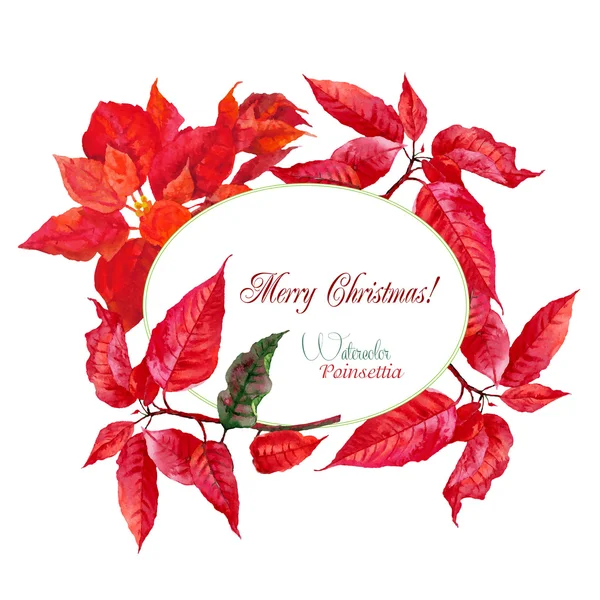 Background  with red Christmas poinsettia-01 — Stock Vector