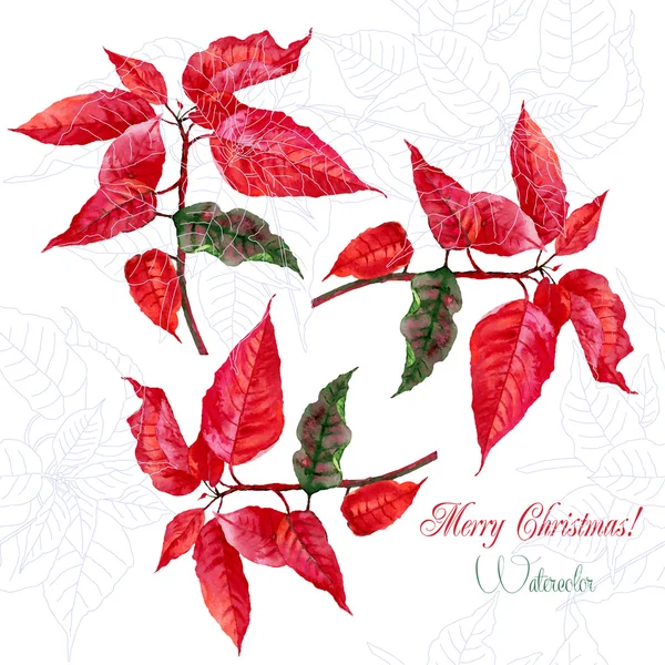 Background  with red Christmas poinsettia-05 — 图库矢量图片