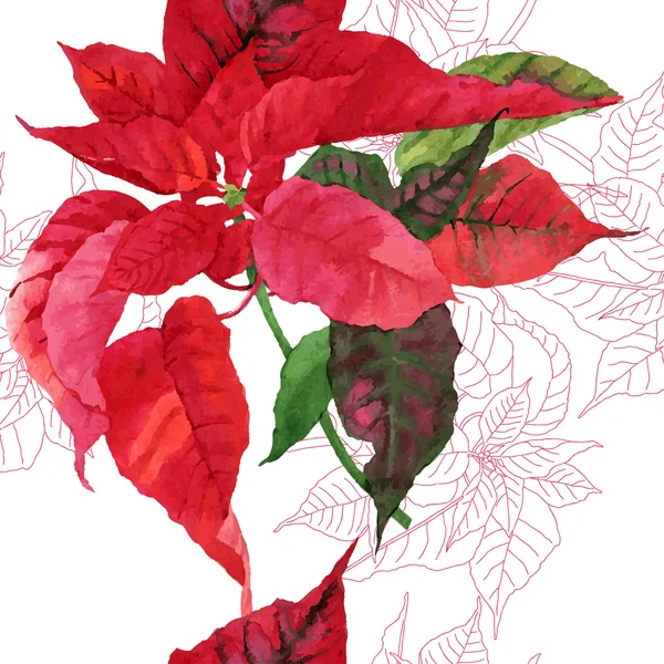 无缝模式与一品红植物-03 — 图库矢量图片