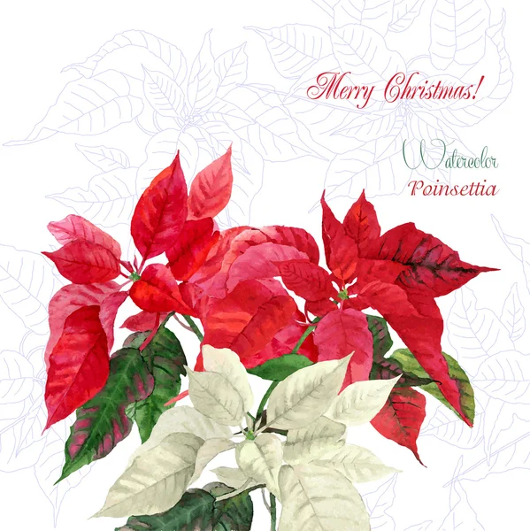 Fondo con ramo de poinsettia — Vector de stock