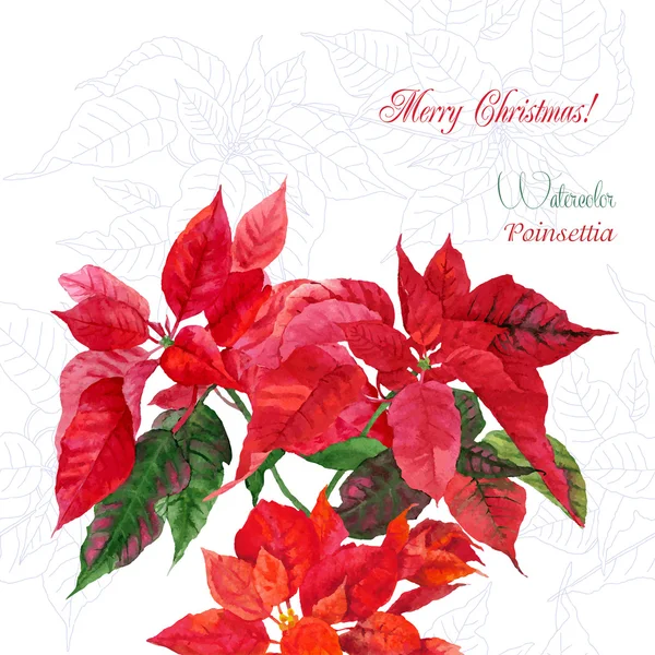 Arrière-plan avec bouquet de poinsettia — Image vectorielle