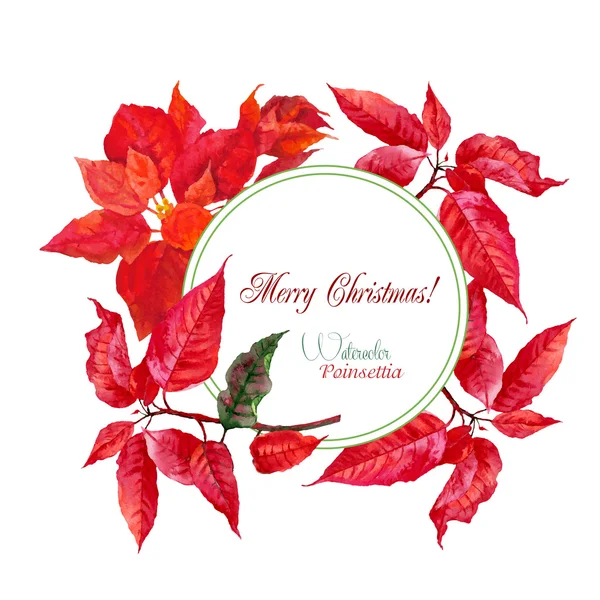 Fondo con ramo de poinsettia — Vector de stock