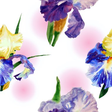 Renk irises1-01 ile Seamless Modeli