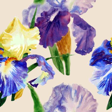 Renk irises1-02 ile Seamless Modeli