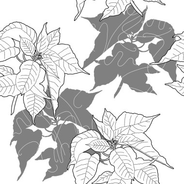 Siyah beyaz Atatürk çiçeği ile Seamless Modeli