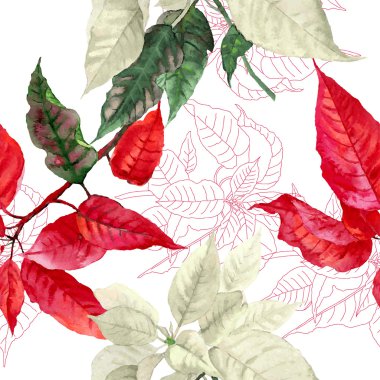 Kırmızı Atatürk çiçeği bitki-02 ile Seamless Modeli