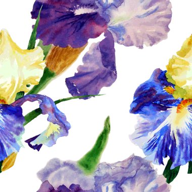 Renk irises1-04 ile Seamless Modeli