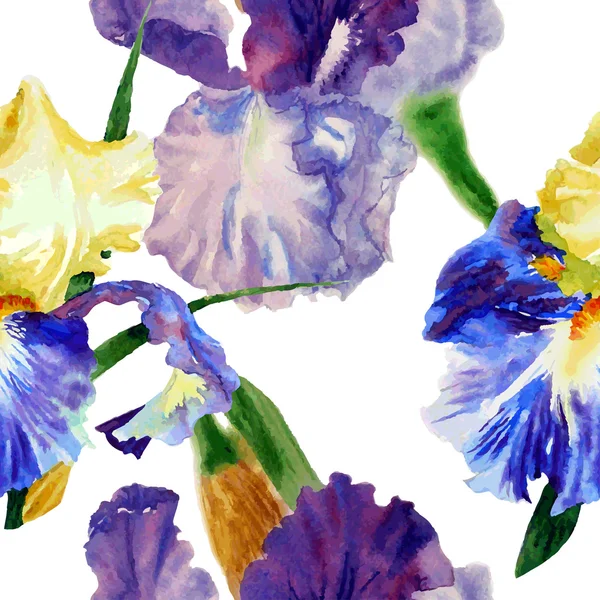 Patrón sin costura con iris de color1-05 — Archivo Imágenes Vectoriales