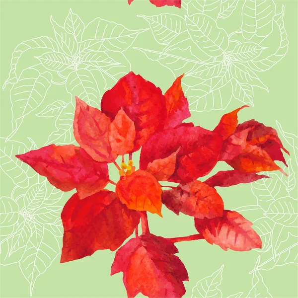 Varrat nélküli mintát a Mikulásvirág növény-05 — Stock Vector