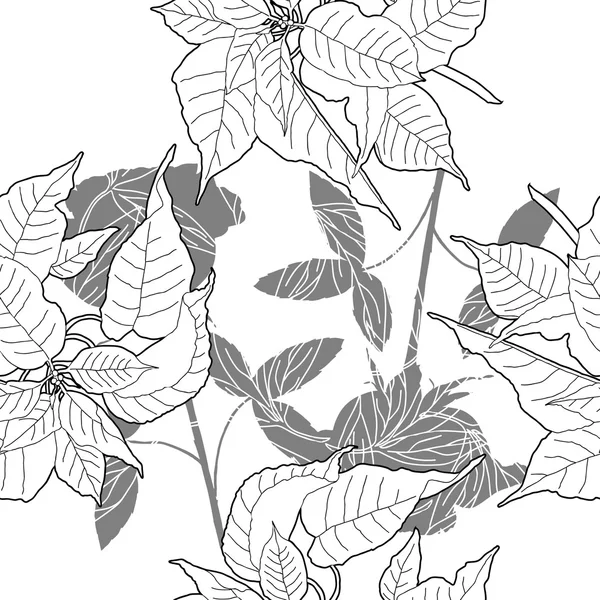 Modèle sans couture avec poinsettia noir et blanc — Image vectorielle