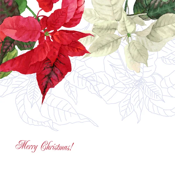 Aquarell Hintergrund mit Weihnachtsstern Blumen — Stockfoto