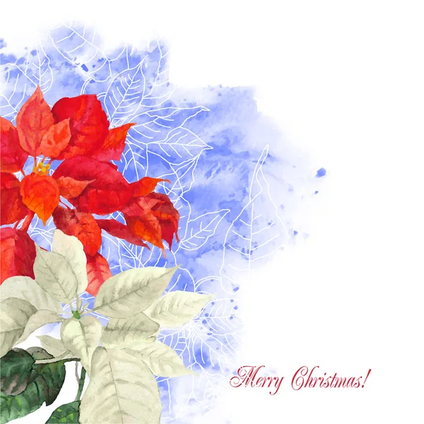 Aquarell-Hintergrund mit Weihnachtssternen-Blüten2-01 — Stockvektor