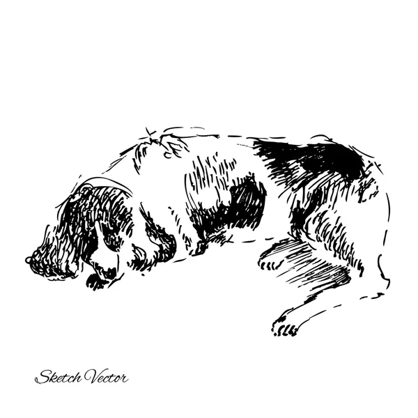 Dog.Animal skica — Stockový vektor