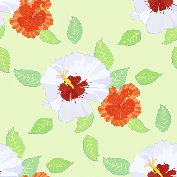 Saumaton kuvio hibiscusilla — vektorikuva