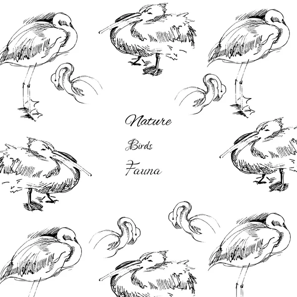 Context cu păsări-03 — Vector de stoc