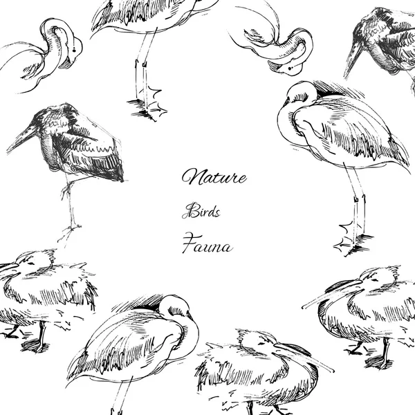 Context cu păsări-04 — Vector de stoc