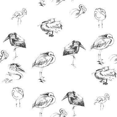 sorunsuz geçmiş kuşlar ile