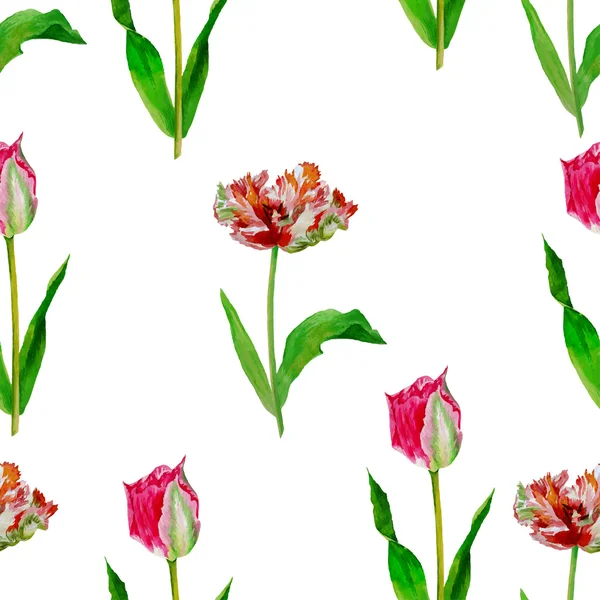 Seamless pattern  with tulips2-01 — Stock Vector