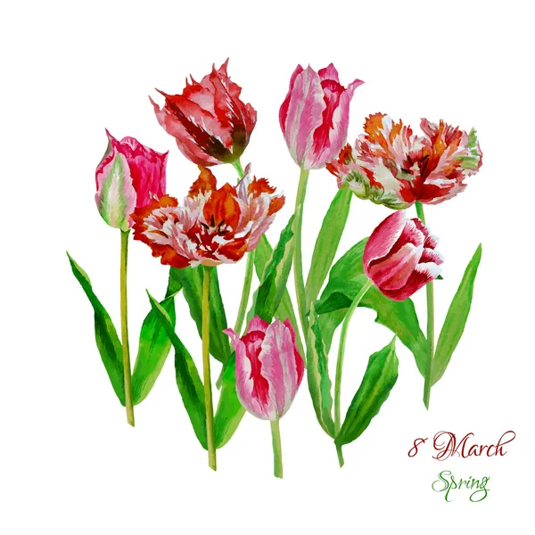 Arka plan ile tulips4-03 — Stok Vektör