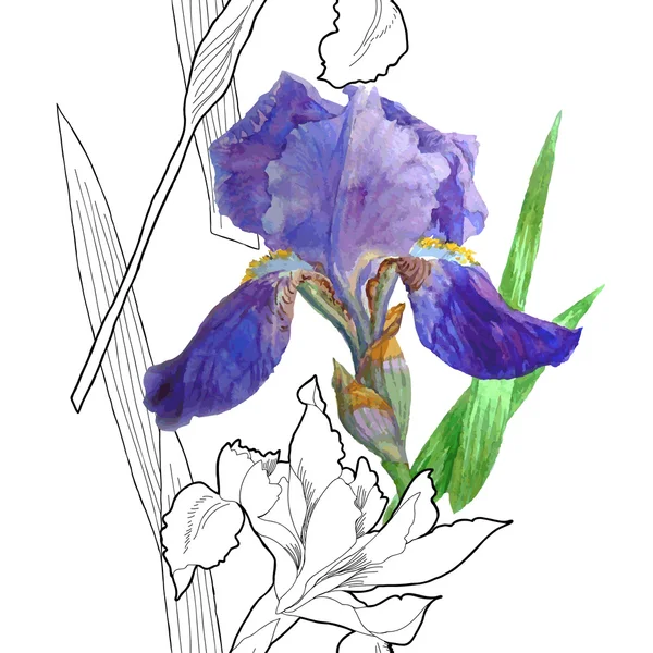 Patrón sin costura blanco y negro con iris — Archivo Imágenes Vectoriales