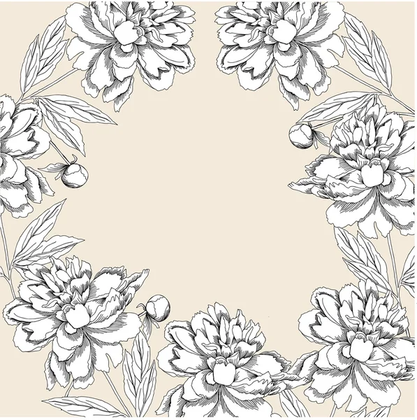 Background with  white peony — Stock Vector