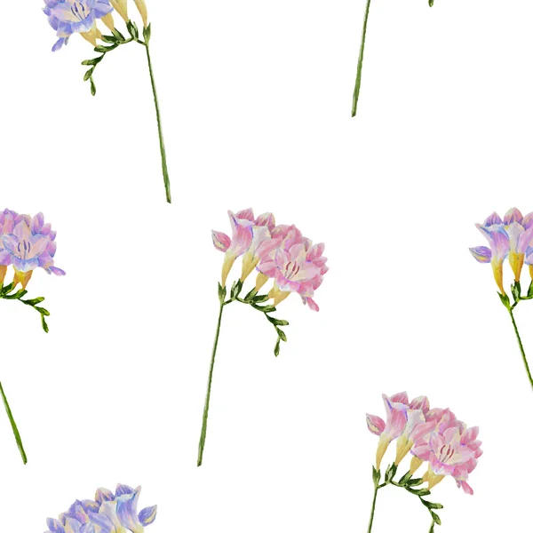 无缝模式与小苍兰花 — 图库矢量图片