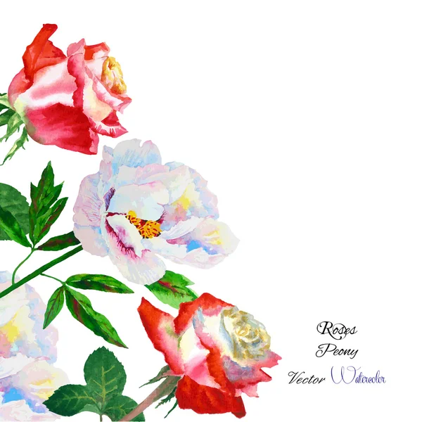 背景与玫瑰和牡丹-02 — 图库矢量图片