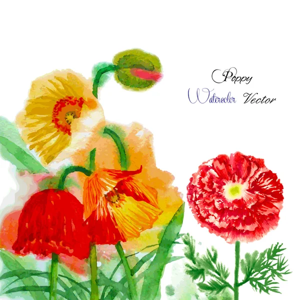 Aquarel achtergrond met rode papaver-01 — Stockvector