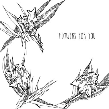 süsen ile arka plan