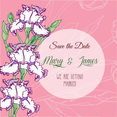 süsen ile pembe bir arka plan