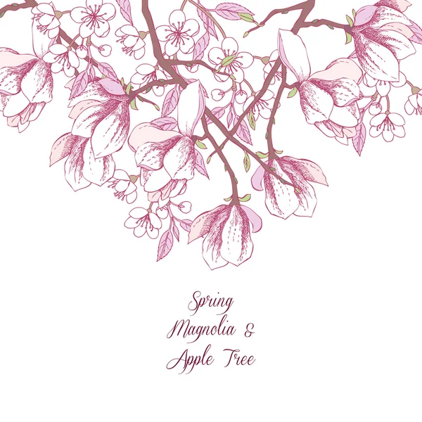 Achtergrond met magnolia en apple tree — Stockvector