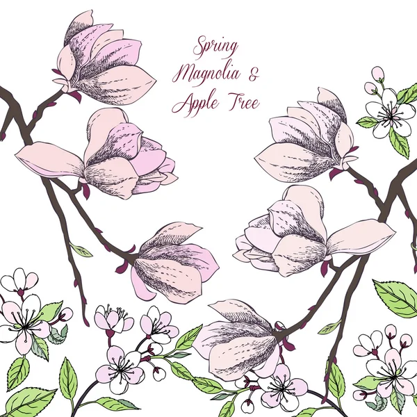 Fondo con magnolia y manzano — Vector de stock
