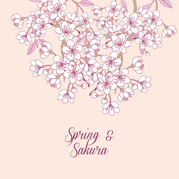 Background with sakura — Stock Vector