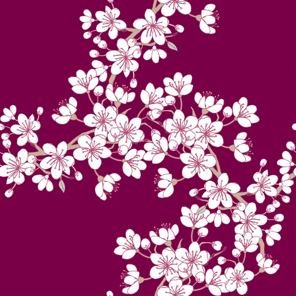 Sakura ile arka plan