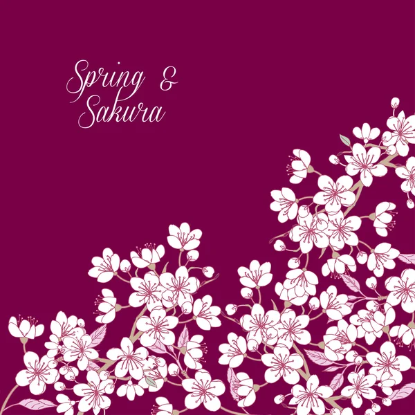 Tło z sakura — Wektor stockowy