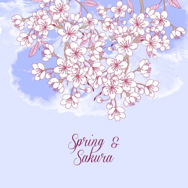 Sakura ile arka plan