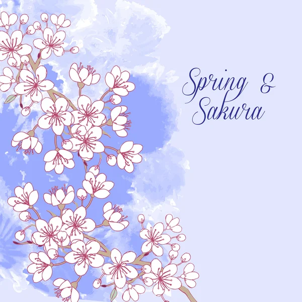 Hintergrund mit Sakura — Stockvektor