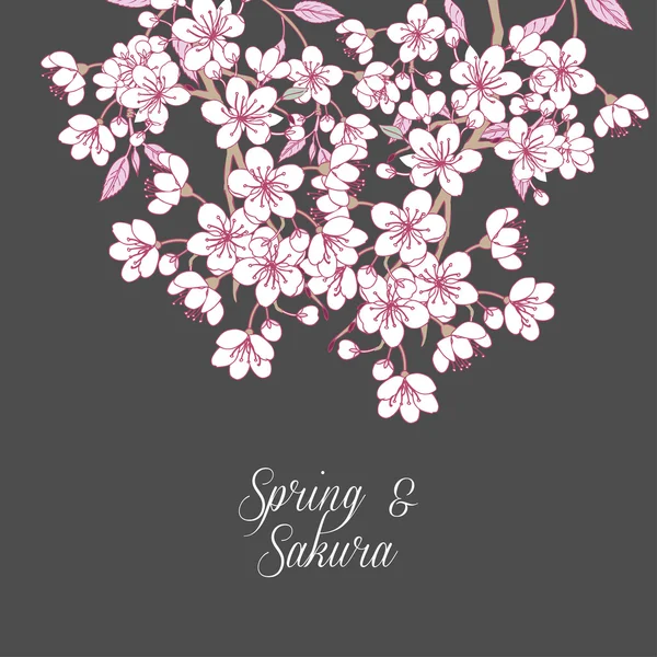 Background with sakura — Stock Vector