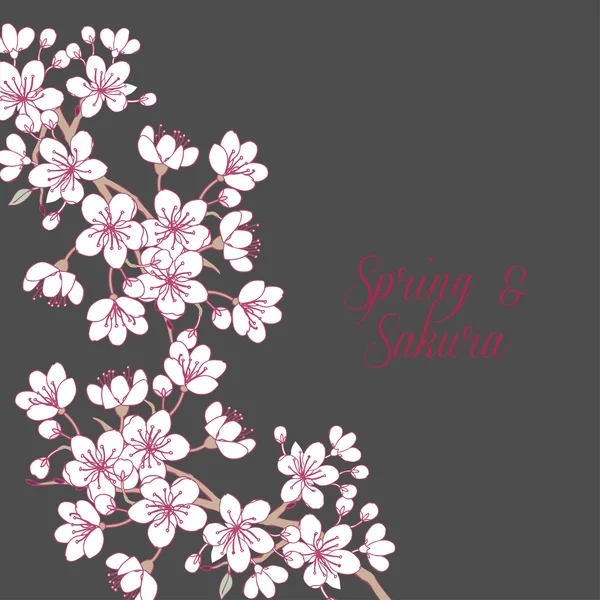 Tło z sakura — Wektor stockowy